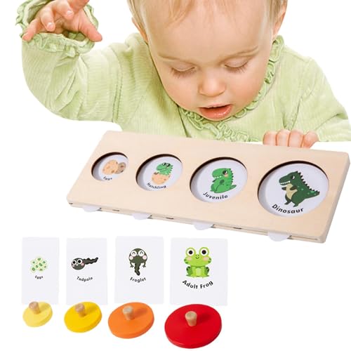 Raxove Puzzle für Kinder, Gehirn-Puzzlespiel – Lernpuzzle Kreatives intellektuelles Spielzeug | Innovatives Lernspielzeug mit passenden Blöcken für den Kindergarten zu Hause Raxove Puzzle für Kinder, Gehirn-Puzzlespiel – Lernpuzzle Kreatives intellektuelles Spielzeug | Innovatives Lernspielzeug mit passenden Blöcken für den Kindergarten zu Hause von Raxove