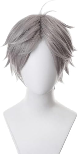 Rcrllya Anime Haikyuu!! Sugawara Koushi Cosplay Perücke, dunkelgraue Kurzhaar perücken, Rollenspiele Halloween Kostüm Party perücken mit Perücken Kappe von Rcrllya