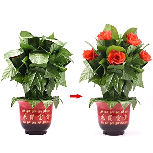 Blooming Rose Bush 10 Blumen - Fernbedienung Magic Tricks Blumen Appearing Magia Stage Illusions Gimmicks Mental Props Romantisch Blooming Rose Bush 10 Blumen - Fernbedienung Magic Tricks Blumen Appearing Magia Stage Illusions Gimmicks Mental Props Romantisch von Rebetomo