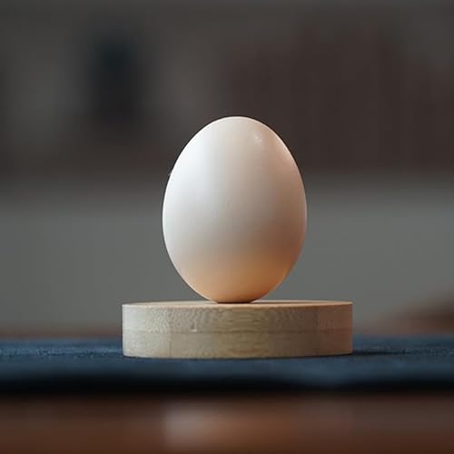 Rebetomo Echtes Ei (weiß/braun), Zaubertricks, echtes Ei aus Seide zum Ei, Routine, magisches Zubehör, Nahaufnahme, Straßen-Illusionen, Gimmick-Requisiten (weiß) von Rebetomo