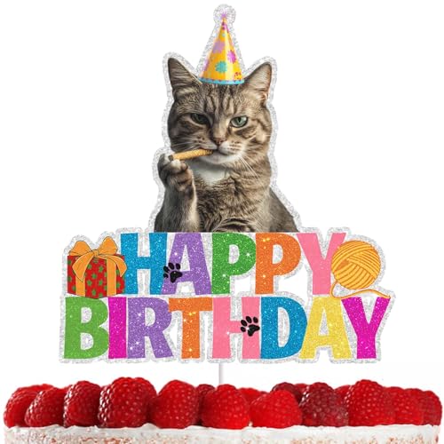 Katzengeburtstagskuchendekorationen, lustige Cupcake-Topper, perfekt für Haustierpartys, bezaubernde Katzenparty-Hut-Accessoires, feiern Sie Ihren Katzenfreunde einen besonderen Tag mit einzigartiger von RedLeLe