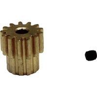 Reely 538517C Ersatzteil Motorritzel Reely 538517C Ersatzteil Motorritzel von Reely