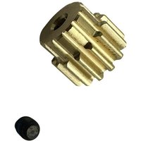 Reely RE-9043674 Ersatzteil Motorritzel 14 Zähne Reely RE-9043674 Ersatzteil Motorritzel 14 Zähne von Reely