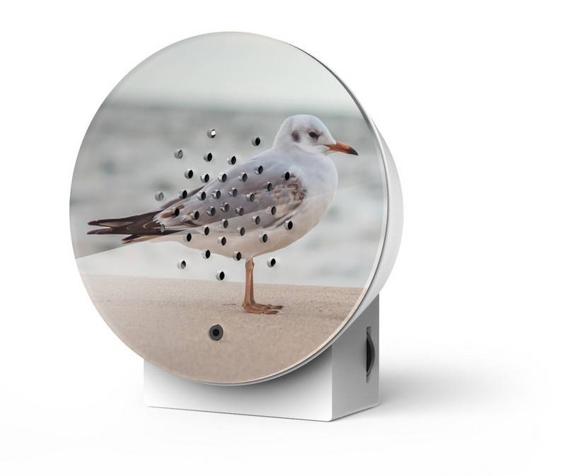 Relaxound Oceanbox Happy Birds Baltic Seagull - Limited Edition Relaxound Oceanbox Happy Birds Baltic Seagull - Limited Edition von Relaxound