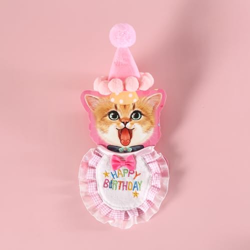 Katzengeburtstagsparty-Zubehör – 4 Stück Kätzchen-Geburtstagshut, besticktes Lätzchen, Kuchenspielzeug und Teaser Zauberstab, niedliches rosa Kostüm für Katzen, Kätzchen, Bekleidung von Remedare