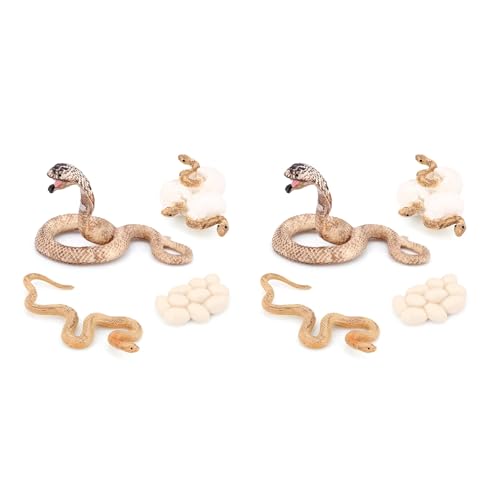 Remingtape 8X Realistisches Tier Leben Wachstum Zyklus Biologisches Modell Spielzeug Schlangen Wachstum Zyklus Biologisches Modell Wachstum Zyklus Remingtape 8X Realistisches Tier Leben Wachstum Zyklus Biologisches Modell Spielzeug Schlangen Wachstum Zyklus Biologisches Modell Wachstum Zyklus von Remingtape