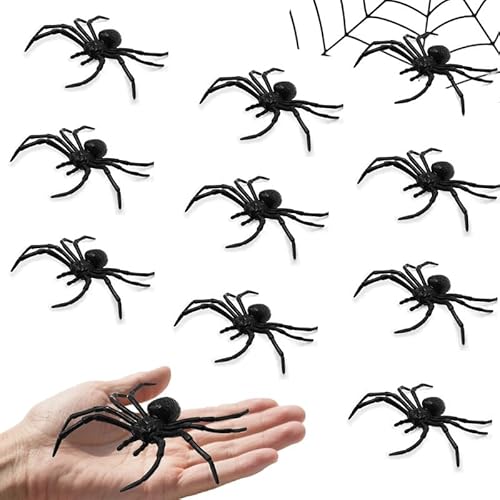 Reroon 10 PCS Halloween Spider Party Decorations Plastic Toys | Black Tiny Fake Spider Web Decor | Realistic Fun Toys Prank Props Scare Practical Surprise Joke Party Decor| 9.4 x 5.8 cm Reroon 10 PCS Halloween Spider Party Decorations Plastic Toys | Black Tiny Fake Spider Web Decor | Realistic Fun Toys Prank Props Scare Practical Surprise Joke Party Decor| 9.4 x 5.8 cm von Reroon