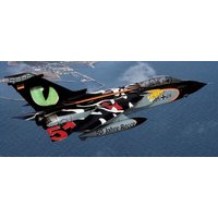 REVELL 05671 Geschenkset NATO Tiger Meet - 60th Anniversary - Tornado und F-16 Mlu von Revell
