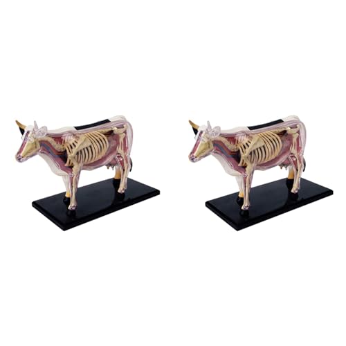 Rfeeuubft 2X Tierorgan Anatomie Modell 4D Kuh Intelligenz Zusammenbau Spielzeug Unterrichts Anatomie Modell DIY PopuläRwissenschaftliche GeräTe Rfeeuubft 2X Tierorgan Anatomie Modell 4D Kuh Intelligenz Zusammenbau Spielzeug Unterrichts Anatomie Modell DIY PopuläRwissenschaftliche GeräTe von Rfeeuubft