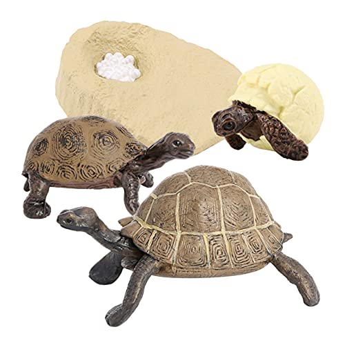 Rfeeuubft Simulation, Tier, Schildkröte, Wachstum, Tiere, Wachstum, Spielzeug für Kinder, F Rfeeuubft Simulation, Tier, Schildkröte, Wachstum, Tiere, Wachstum, Spielzeug für Kinder, F von Rfeeuubft