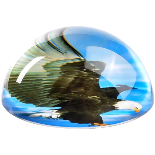 Rhode Island Novelty 80 mm Dome Briefbeschwerer Adler von Rhode Island Novelty