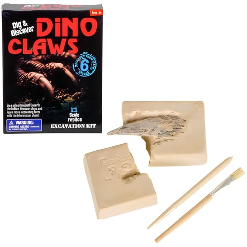 Rhode Island Novelty Dinosaurier-Klauen-Ausgrabungs-Kit von Rhode Island Novelty
