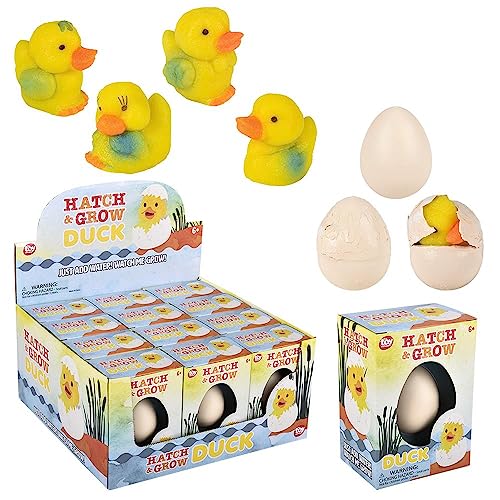Rhode Island Novelty Kleines Hatch and Grow Duck Egg, 12 Stück von Rhode Island Novelty