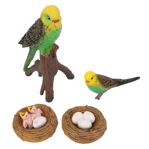 RiToEasysports 4 PCs Vogelfigur Spielzeug, Tierwachstumszyklus -Figur -Modell Bildungsspielzeug mit Lebendigen Details für Home -Classroom -Dekoration von RiToEasysports
