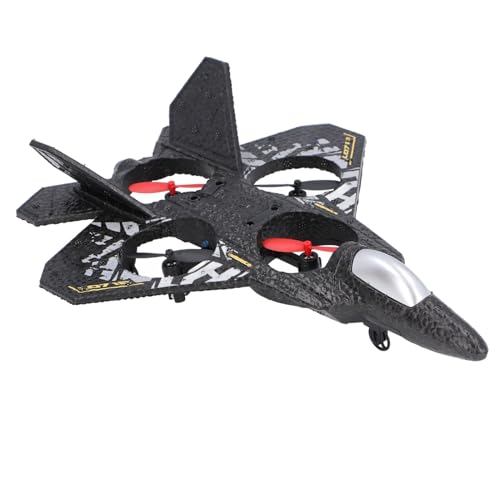 RiToEasysports Fernbedienung Flugzeugebene, Schaum F22 Kämpfer Fixed Flügel RC Flugzeug Segelflugzeug für Erwachsene und (Grey) von RiToEasysports