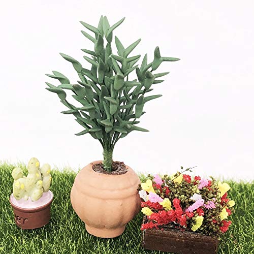 RiToEasysports Ritoeasysports Miniatur-Pflanzen-Bonsai, 1:12 Miniatur-Puppenhaus von RiToEasysports