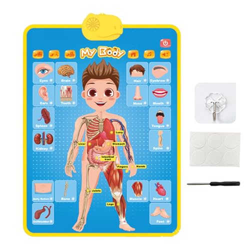 Electronic Musical Alphabet and Number Wall Chart, Interactive Learning Wall Chart for Kids, Educational Wall Chart for Homeschool Supplies, Music and Number Learning Tool for Children Electronic Musical Alphabet and Number Wall Chart, Interactive Learning Wall Chart for Kids, Educational Wall Chart for Homeschool Supplies, Music and Number Learning Tool for Children von Riaisttd