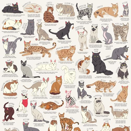 Ridley's Games JIG055 Cat Lover's 1000 Piece Jigsaw Puzzle, Multicoloured von Ridley's