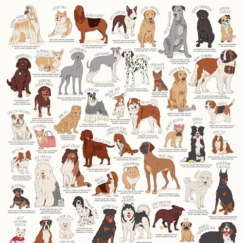 Ridley's Games JIG056 Dog Lovers Jigsaw Puzzle, White, 1000 Piece von Ridley's