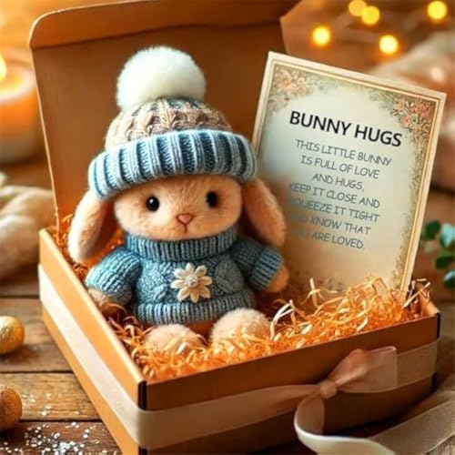 Mini Bunny Hug Cute Easter Gift,Plush Pocket Hug Rabbit with Knitted Hat and Pom Pom,Bunny Stuffed Animal Sets,Mini Emotional Support Rabbit,Gift for Teachers,Friends - Includes Box and Card (Type B) von Rietoiu
