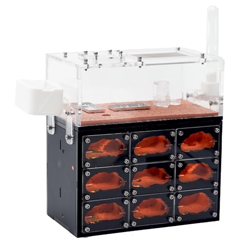 Ameisenfarm mit LED-Lichtern - 3-lagiges Ameisennest mit natürlichen Tunneln - Großer Sichtraum für Ameisen Ameisenfarm mit LED-Lichtern - 3-lagiges Ameisennest mit natürlichen Tunneln - Großer Sichtraum für Ameisen von Rimsunta