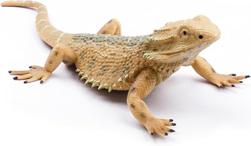 Rismise Eidechse Figur Spielzeug Eidechse Tiere Figuren Eidechsen Spielzeug Plastik Eidechsen Modell Bartagame Tierfiguren für Kuchen Dekoration Lernspielzeug Gecko Tier Trick Reptil Prank Requisiten Rismise Eidechse Figur Spielzeug Eidechse Tiere Figuren Eidechsen Spielzeug Plastik Eidechsen Modell Bartagame Tierfiguren für Kuchen Dekoration Lernspielzeug Gecko Tier Trick Reptil Prank Requisiten von Rismise