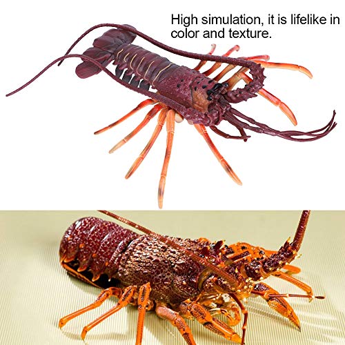 Hummerspielzeugmodell Weiche Plastik Realistisches Meeresfrüchte Sea Restaurant (29cm) von Riuulity