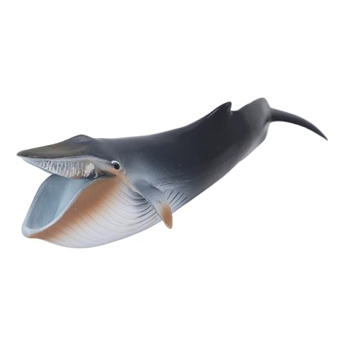 Riuulity See Marine Tierfigur Spielzeug, Blauwal Große Ozean Tier Figur Realistische Pädagogische Modell Figur von Riuulity