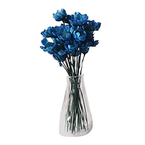 Roadoor 1 12 Puppenhausmöbel Spielset, Mini Blumenvase, elegante Dekoration, Kompaktes Puppenhaus Mini Flower Bowl Roadoor 1 12 Puppenhausmöbel Spielset, Mini Blumenvase, elegante Dekoration, Kompaktes Puppenhaus Mini Flower Bowl von Roadoor