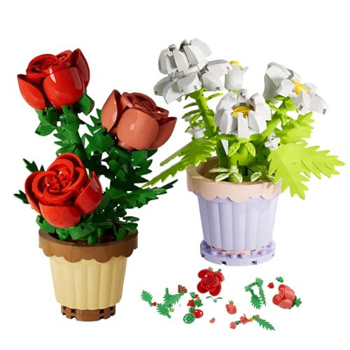 RobLuX 2 Mini Blumen Sukkulenten Bausteine Set Gänseblümchen 189 Stück+Rose 204 Stück Partikel Blumen Bausteine Sukkulenten Blumen Set Klemmbausteine Blumen Geschenk zur Heimdekoration RobLuX 2 Mini Blumen Sukkulenten Bausteine Set Gänseblümchen 189 Stück+Rose 204 Stück Partikel Blumen Bausteine Sukkulenten Blumen Set Klemmbausteine Blumen Geschenk zur Heimdekoration von RobLuX