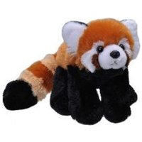 Plüsch Roter Panda 20 cm Plüsch Roter Panda 20 cm von Robert Kuhn AG