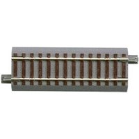 ROCO 61113 H0 Gerade G100 ROCO 61113 H0 Gerade G100 von Roco