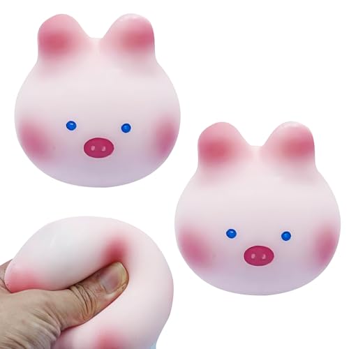 2 Stück Stress Schwein,Schwein Quetsch Spielzeug,Kreatives Dekompressions Rosa Schweinchen,Süß und Interessant,für Alle Altersgruppen Geeignet,um Ängste Abzubauen und Stress Abzubauen von Roinaid