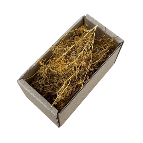 Ronyme Realistisches Miniaturgras für Feengarten, Geländebau, Modellbau, DIY-Eisenbahnzug, Kunstgras für Eisenbahnlandschaften, Mikrolandschaften, Herbstgelb Ronyme Realistisches Miniaturgras für Feengarten, Geländebau, Modellbau, DIY-Eisenbahnzug, Kunstgras für Eisenbahnlandschaften, Mikrolandschaften, Herbstgelb von Ronyme