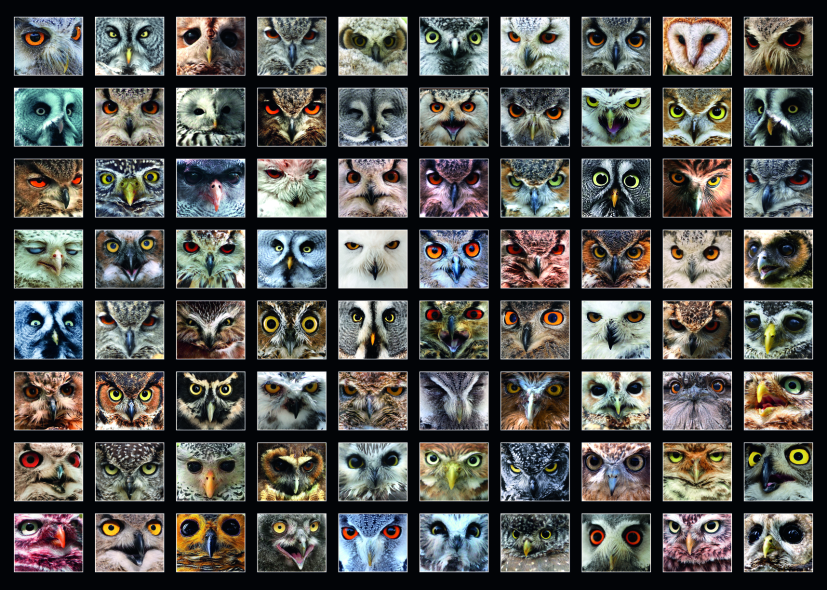 Roovi Collage - Eulen 1000 Teile Puzzle Roovi-74331 Roovi Collage - Eulen 1000 Teile Puzzle Roovi-74331 von Roovi