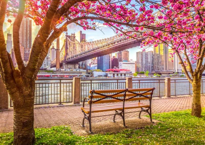 Roovi New York, USA 500 Teile Puzzle Roovi-80677 Roovi New York, USA 500 Teile Puzzle Roovi-80677 von Roovi