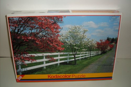 Kodacolor 550 Teile Puzzle Hartriegel und Zaun von Roseart