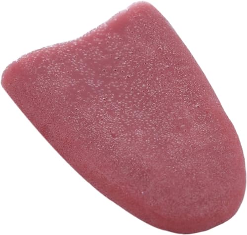 Realistische Zunge, Stretchy Fake Zunge Tricks Künstliche Zunge Prop Horrible Realistische Zunge Halloween Gross Jokes April Fools Day Magic Kits und Zubehör Realistische Zunge, Stretchy Fake Zunge Tricks Künstliche Zunge Prop Horrible Realistische Zunge Halloween Gross Jokes April Fools Day Magic Kits und Zubehör von Rosojodg