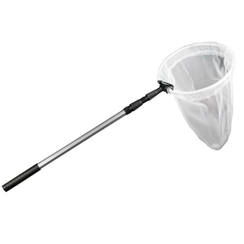 Rouloudun Schmetterlingsnetze mit 11 Zoll breitem Ring Teleskoper Schmetterling Fänger mit einem Rutschgriff stabilen Outdoor-Fischereivogelnetz für Kinder Erwachsene Rouloudun Schmetterlingsnetze mit 11 Zoll breitem Ring Teleskoper Schmetterling Fänger mit einem Rutschgriff stabilen Outdoor-Fischereivogelnetz für Kinder Erwachsene von Rouloudun