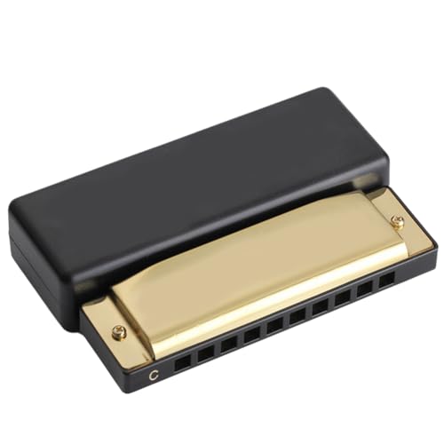 Roxvue 10-Loch-Mundharmonika, C-Tonart, für Schüler, Kinder, Früherziehung, Puzzle, Musikinstrument, Lernspielzeug, Gold von Roxvue