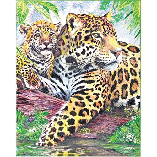 Colour Pencil by Numbers "Jaguars by the Pool" von Royal & Langnickel