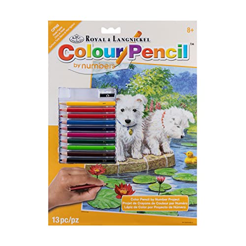 Colour Pencil by numbers "Westie Puppies" von Royal & Langnickel