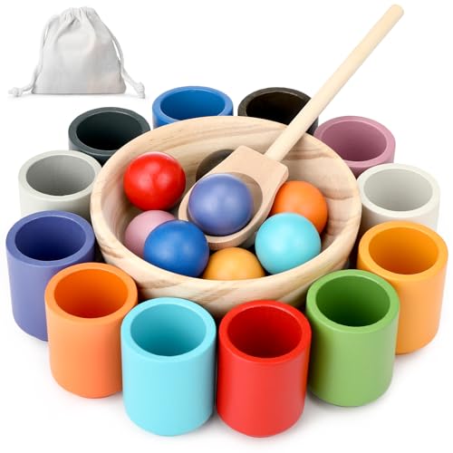 Royouzi Montessori Holzspielzeug, Montessori Ball Sortierspiel, Holz Sortier Stapelspielzeug, Montessori-Spielzeug mit 12 Bälle für Farbsortierung und Zählen Geschenk ab 2 3 4 5 Jahr von Royouzi