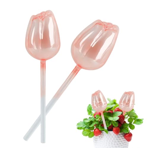 Rrlihjgu Bewässerungsballons, Bewässerungszwiebeln für Zimmerpflanzen, 2 x Glasböden in dekorativen Blumen, automatischer Pflanzeinsatz, Einsetzen von Erdspießen, Bewässerungsgerät für Garten Rrlihjgu Bewässerungsballons, Bewässerungszwiebeln für Zimmerpflanzen, 2 x Glasböden in dekorativen Blumen, automatischer Pflanzeinsatz, Einsetzen von Erdspießen, Bewässerungsgerät für Garten von Rrlihjgu