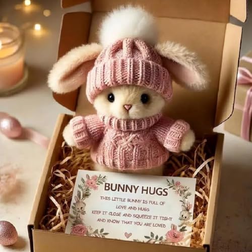 Rtyweth Mini Bunny Hug Cute Birthday Gift A Little Bundle Love & Comfort New Mini Animals Rabbit Inspirational Positive Decor Plush von Rtyweth