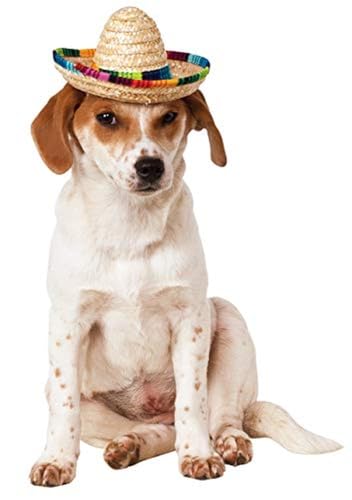 Rubie 's Offizielles Sombrero Pet Hunde Kostüm – Klein/mittel Halloween von Rubie's