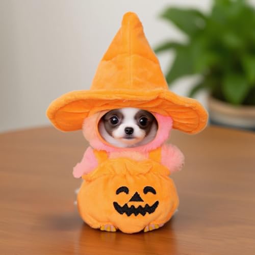 Halloween-Kostüm (OHNE Puppe), Kürbis-Outfit mit Hexenhut, 17 cm große Puppe, süße gruselige Puppenmode (A) von Rubu22a