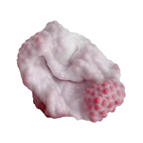 Rukjmqi Trauben Stressball, Trauben Stressball Vakuum, 6 X 6 cm Vakuum Stressball, Sensorisches Zappelspielzeug, Trauben Kleines Perlen Quetschballspielzeug Für Kinder Erwachsene von Rukjmqi