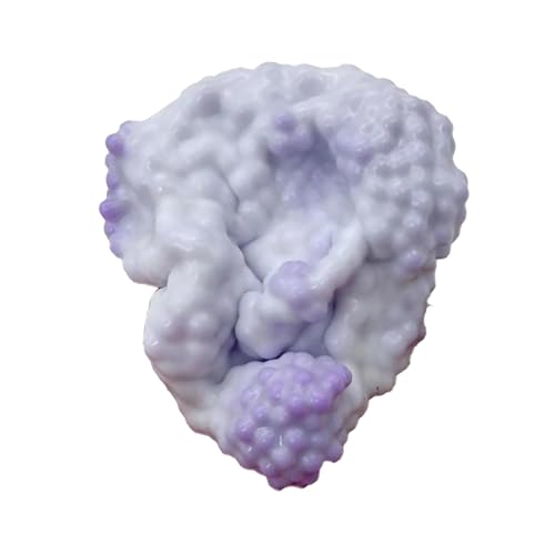 Rukjmqi Trauben Stressball, Trauben Stressball Vakuum, 6 X 6 cm Vakuum Stressball, Sensorisches Zappelspielzeug, Trauben Kleines Perlen Quetschballspielzeug Für Kinder Erwachsene Rukjmqi Trauben Stressball, Trauben Stressball Vakuum, 6 X 6 cm Vakuum Stressball, Sensorisches Zappelspielzeug, Trauben Kleines Perlen Quetschballspielzeug Für Kinder Erwachsene von Rukjmqi