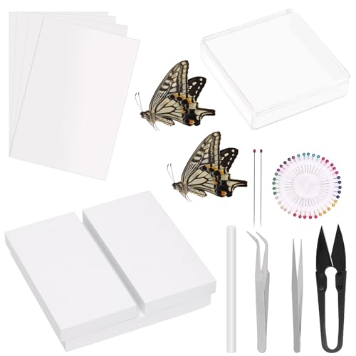 Rustark 15 Stück Insektenproben Werkzeug Kit, Insektenstiften, Insektenstiften Brett, Flügel Presspapier, Pinzette, Schere, Entomologie Bedarf Insect Specimen Tools Kit von Rustark